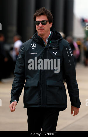 Motor Racing - Championnat du Monde de Formule 1 - Grand Prix de Grande-Bretagne 2014 - Race - Circuit de Silverstone Banque D'Images