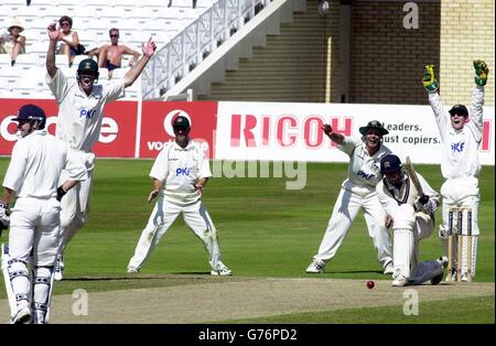 Alpes v Middlesex - Stuart MacGill Banque D'Images