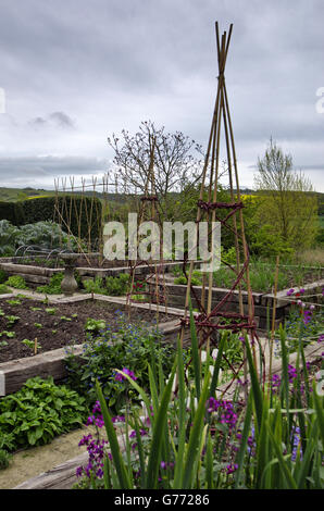 Les cannes et de lits surélevés dans le potager à la maison du clergé, Alfriston, East Sussex, UK. Banque D'Images