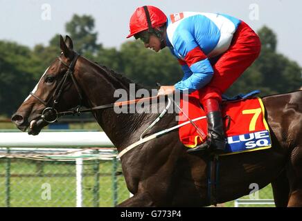 Mana d'argent de l'équipe de Grande-Bretagne et d'Irlande avec le jockey Pat Eddery après avoir Wininng les 3.15 Millénium Hotels and Resorts Shergar Cup, dans la Blue Square Shergar Cup à Royal Ascot dans le Berkshire. Banque D'Images