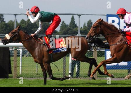 King's Welcome porter le jockey Richard Hughes remporte pour l'équipe de Grande-Bretagne et d'Irlande, le Carvill Shergar Cup Challenge 3.50 dans la Blue Square Shergar Cup à Royal Ascot dans le Berkshire. Banque D'Images