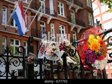 Malaysia Airlines crash de l'Ukraine Banque D'Images