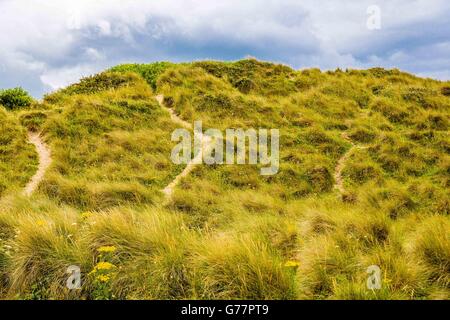 Des chemins sur les dunes de sable de plage de Crantock, Newquay, Cornwall, UK Banque D'Images