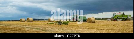 Un champ de maïs en cours de récolte avec combiné vert exploitants par les agriculteurs dans le Devon, UK Banque D'Images