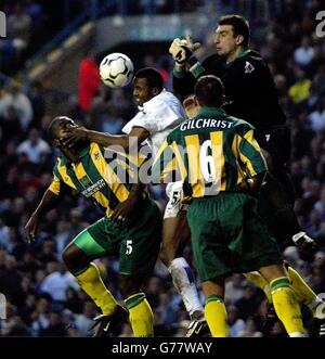 Lucas Radebe de Leeds United est bloqué par Darren Moore (à gauche) de West Broms et par le gardien de but Russell Hoult, lors de leur match Barclaycard Premiership à Elland Road. Banque D'Images