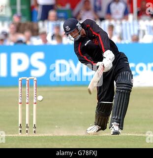 Robin Martin-Jenkins, batteur des Sussex Sharks, touche le ballon pour une limite lors du match de Twenty20 contre les Essex Eagles à Brighton. Banque D'Images