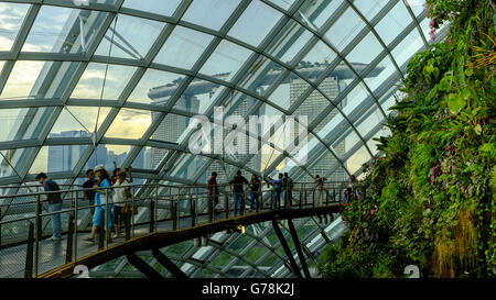 Vue spectaculaire sur la célèbre Marina Bay Sands depuis le Cloud Dome au Gardens by the Bay, Singapour Banque D'Images