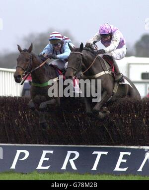 Kempton Racing - McCoy - meilleur pote Banque D'Images