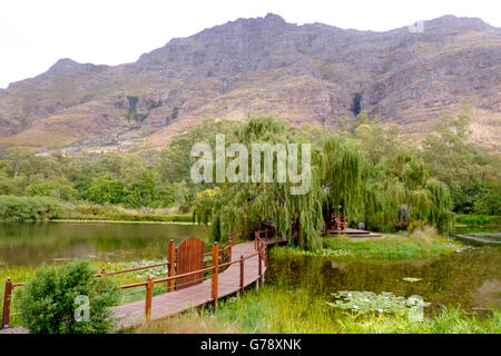 Stark-Conde winery dans la vallée de Jonkershoek, Stellenbosch, Afrique du Sud Banque D'Images