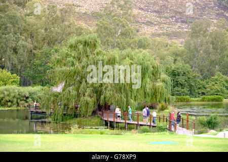 Stark-Conde winery dans la vallée de Jonkershoek, Stellenbosch, Afrique du Sud Banque D'Images