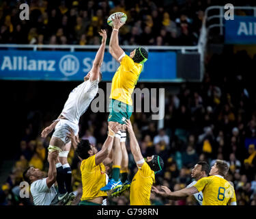 Sydney, Australie. 25 Juin, 2016. L'Australie remporte un line-out dans le troisième et dernier test-match de rugby. L'Angleterre a gagné le match final à 44-40 Stade Allianz et les cuisiniers Cup Series 3-0 Sydney, Australie. 25 Juin, 2016. Credit : Hugh Peterswald/Alamy Live News Banque D'Images