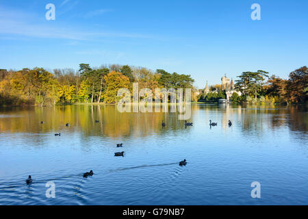 Château de Laxenburg Schlosspark parc Franzensburg, Laxenburg, Autriche, Niederösterreich, Autriche, Vienne, Wienerwald Woods Banque D'Images