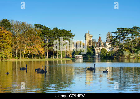 Château de Laxenburg Schlosspark parc Franzensburg, Laxenburg, Autriche, Niederösterreich, Autriche, Vienne, Wienerwald Woods Banque D'Images