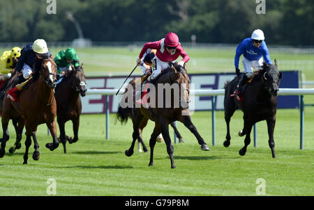 Courses hippiques - Hippodrome de Haydock Park.Amralah et Joe Fanning (au centre) remportent les piquets Betfred Rose de Lancaster à l'hippodrome de Haydock Park, Merseyside. Banque D'Images