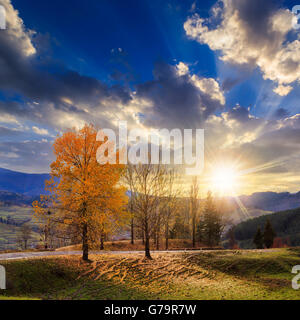 Route asphaltée au loin dans la montagne passe par le livre vert forêt ombragée près de lieux ruraux au coucher du soleil Banque D'Images