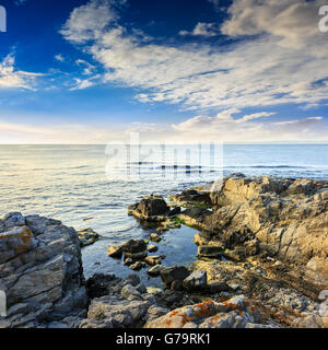 Mer calme avec fiev vagues sur la côte avec des rochers et des algues Banque D'Images