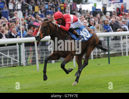 Tiggy Wiggy, monté par Richard Hughes, remporte les Pinsent Masons Lowther Stakes au cours du deuxième jour des 2014 Bienvenue au Yorkshire Ebor Festival à l'hippodrome de York. Banque D'Images