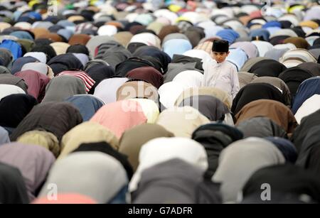 Les musulmans d'Ahmadiyya se réunissent pour des prières du vendredi dans la tente principale alors qu'ils rejoignent jusqu'à 30,000 musulmans pour s'engager à faire allégeance au Caliph pendant Jalsa Salana UK 2014 à Alton, Hampshire. Banque D'Images