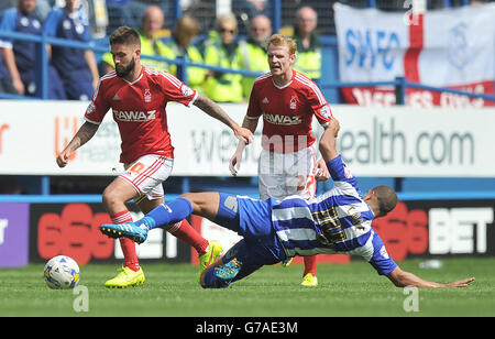 Sky Bet Championship Soccer - - Sheffield Wednesday v Nottingham Forest - Hillsborough Banque D'Images