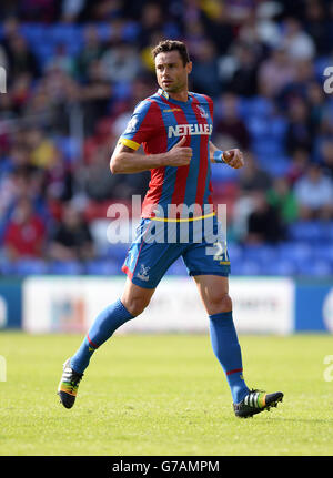 Damien Delaney du Crystal Palace pendant le match de la Barclays Premier League à Selhurst Park, Londres.APPUYEZ SUR ASSOCIATION photo.Date de la photo: Samedi 23 août 2014.Voir PA Story FOOTBALL Palace.Le crédit photo devrait se lire comme suit : Andrew Matthews/PA Wire. Banque D'Images