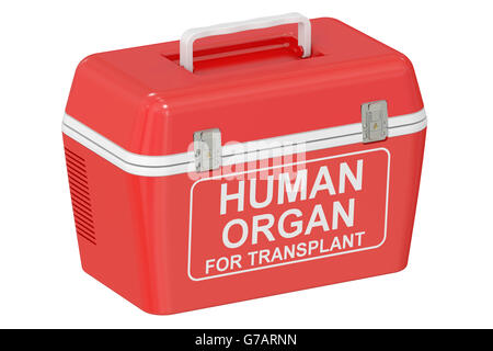 Réfrigérateur portable pour le transport d'organes, rendu 3D isolé sur fond blanc Banque D'Images