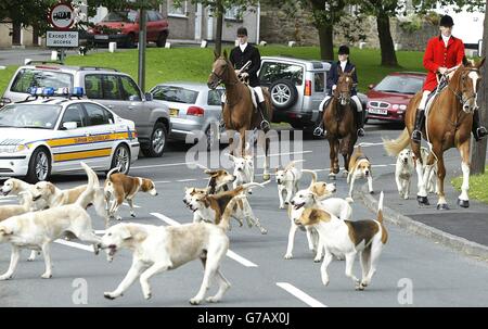 Interdiction de la chasse au renard - Chiens et chasseurs quitter Trmdom Banque D'Images