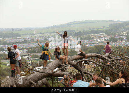 Bestival 2014 - Jour 2 Banque D'Images