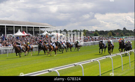 Blaine est criée par Amy Ryan (cinquième à partir de la gauche, silks noir et blanc) sur le chemin de gagner les mises du groupe Symphony au cours du premier jour des 2014 Bienvenue au Yorkshire Ebor Festival à York Racecourse, York. Banque D'Images