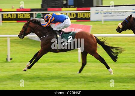 Gleneagles, monté par Joseph O'Brien, remporte les enjeux nationaux Goffs Vincent O'Brien pendant le week-end des champions irlandais au Curragh Racecourse, Co Kildare, Irlande. Banque D'Images