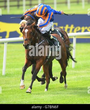 Gleneagles, monté par Joseph O'Brien, remporte les enjeux nationaux Goffs Vincent O'Brien pendant le week-end des champions irlandais au Curragh Racecourse, Co Kildare, Irlande. Banque D'Images