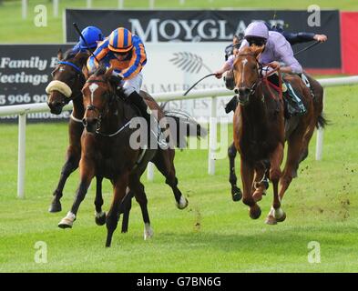 Gleneagles, monté par Joseph O'Brien, remporte les enjeux nationaux Goffs Vincent O'Brien pendant le week-end des champions irlandais au Curragh Racecourse, Co Kildare, Irlande. Banque D'Images