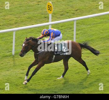 Les courses de chevaux - 2014 Week-end des Champions irlandais - Jour deux - l'Hippodrome de Curragh Banque D'Images