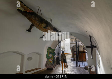 Ancien hôtel de ville avec le Dragon de Brno ( un crocodile ) et la roue de Brno, Brno (Brünn), République tchèque, Jihomoravsky, Mauritius, donc Banque D'Images