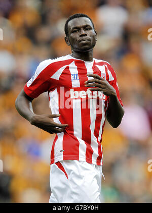 Football - Barclays Premier League - Hull City / Stoke City - KC Stadium.Mame Biram Diouf, Stoke City Banque D'Images