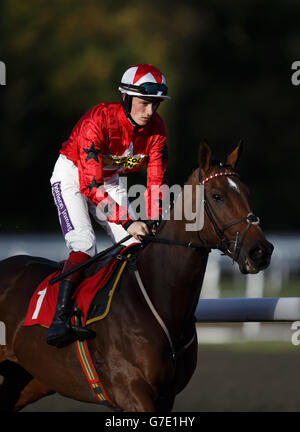 Le New One, criblé par Sam Twiston Davies, va poster dans l'obstacle de williamhill.com à Kempton Racecourse, Kempton. Banque D'Images