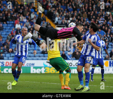 Keiren Westwood de Sheffield Wednesday surmonte Lewis Grabban de Norwich City lors du match de championnat Sky Bet à Hillsborough, Sheffield. Banque D'Images