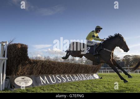 Waltz Darling libère la clôture finale pendant la Border Safeguard novicess' Limited handicap Chase pour la première fois à Musselburgh Racecourse, East Lothian. Banque D'Images