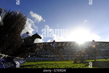 Les coureurs et les cavaliers sautent le dernier sur le premier circuit du Byrne Group handicap Chase pendant le United House Group Raceday à l'hippodrome d'Ascot Banque D'Images