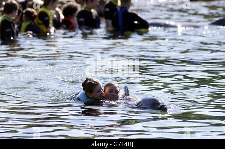 Maisy Gallagher-Horwood (gilet de sauvetage bleu) d'Oxford aime nager avec un dauphin lors du voyage caritatif DreamFlight à Discovery Cove à Orlando, en Floride. Banque D'Images