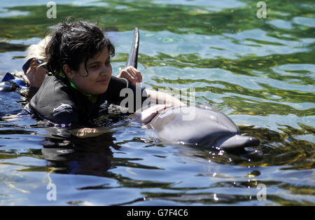 Sara Moosa, de Bolton, nage avec un dauphin lors du voyage caritatif DreamFlight à Discovery Cove à Orlando, en Floride. Banque D'Images