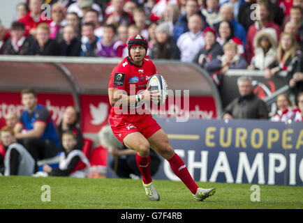 Leigh Halfpenny de Toulon lors du match de la coupe des champions de rugby européenne au Kingspan Stadium de Belfast. APPUYEZ SUR ASSOCIATION photo. Date de la photo: Samedi 25 octobre 2014. Voir l'histoire de PA RUGBYU Ulster. Le crédit photo doit être Liam McBurney/PA Wire. Banque D'Images