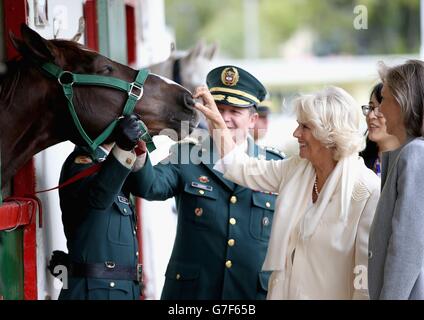 La duchesse de Cornouailles rencontre des chevaux alors qu'elle visite Escuela de Cabelleria del Ejercito (Académie militaire) à Bogota, en Colombie dans le cadre de sa tournée dans le pays sud-américain. Banque D'Images