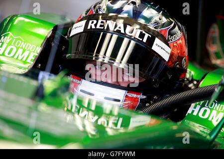 Motor Racing - Championnat du Monde de Formule Un - 2014 Grand Prix d'Abu Dhabi - Pratique - Circuit Yas Marina Banque D'Images