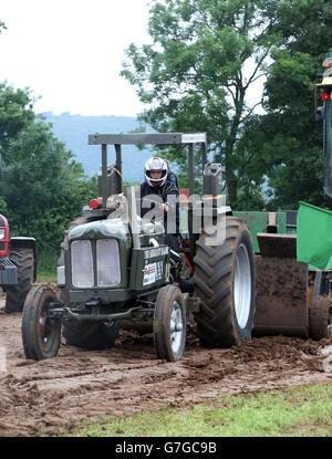 SWTPA événement à Greendale Farm, Draycott, Somerset, près de Cheddar. 26 Juin 2016 Banque D'Images