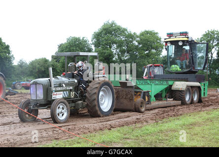 SWTPA événement à Greendale Farm, Draycott, Somerset, près de Cheddar. 26 Juin 2016 Banque D'Images