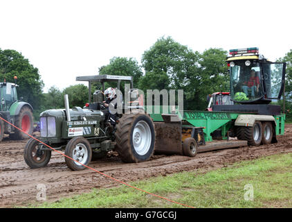 SWTPA événement à Greendale Farm, Draycott, Somerset, près de Cheddar. 26 Juin 2016 Banque D'Images