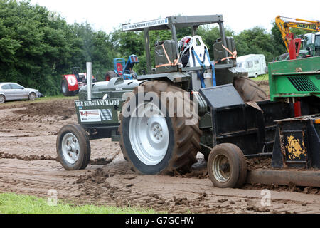 SWTPA événement à Greendale Farm, Draycott, Somerset, près de Cheddar. 26 Juin 2016 Banque D'Images