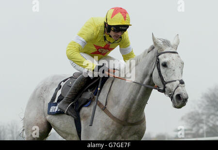 Al Ferof, monté par Ruby Walsh, remporte la course d'Amlin 1965 à l'hippodrome d'Ascot, dans le Berkshire.Date de la photo: Samedi 22 novembre 2014. Banque D'Images