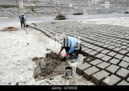 La fabrication des briques de boue, Diskit, Nubra Valley, près de Leh, Ladakh, Inde Banque D'Images