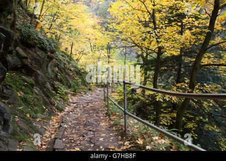 Goetheweg trail dans la Bodetal ou la réserve naturelle de la Gorge de Bode, Thale, Harz (Saxe-Anhalt), PublicGround Banque D'Images